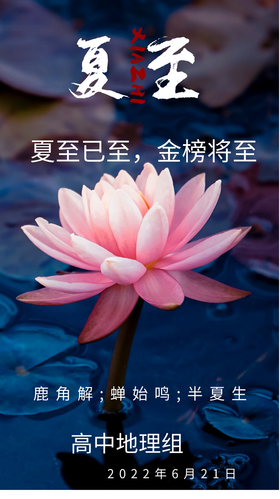 夏至已至，金榜將至