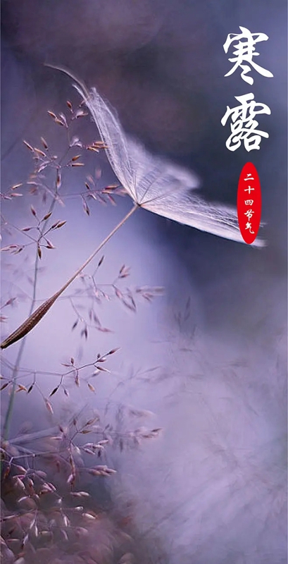 寒露入寒，人心向暖